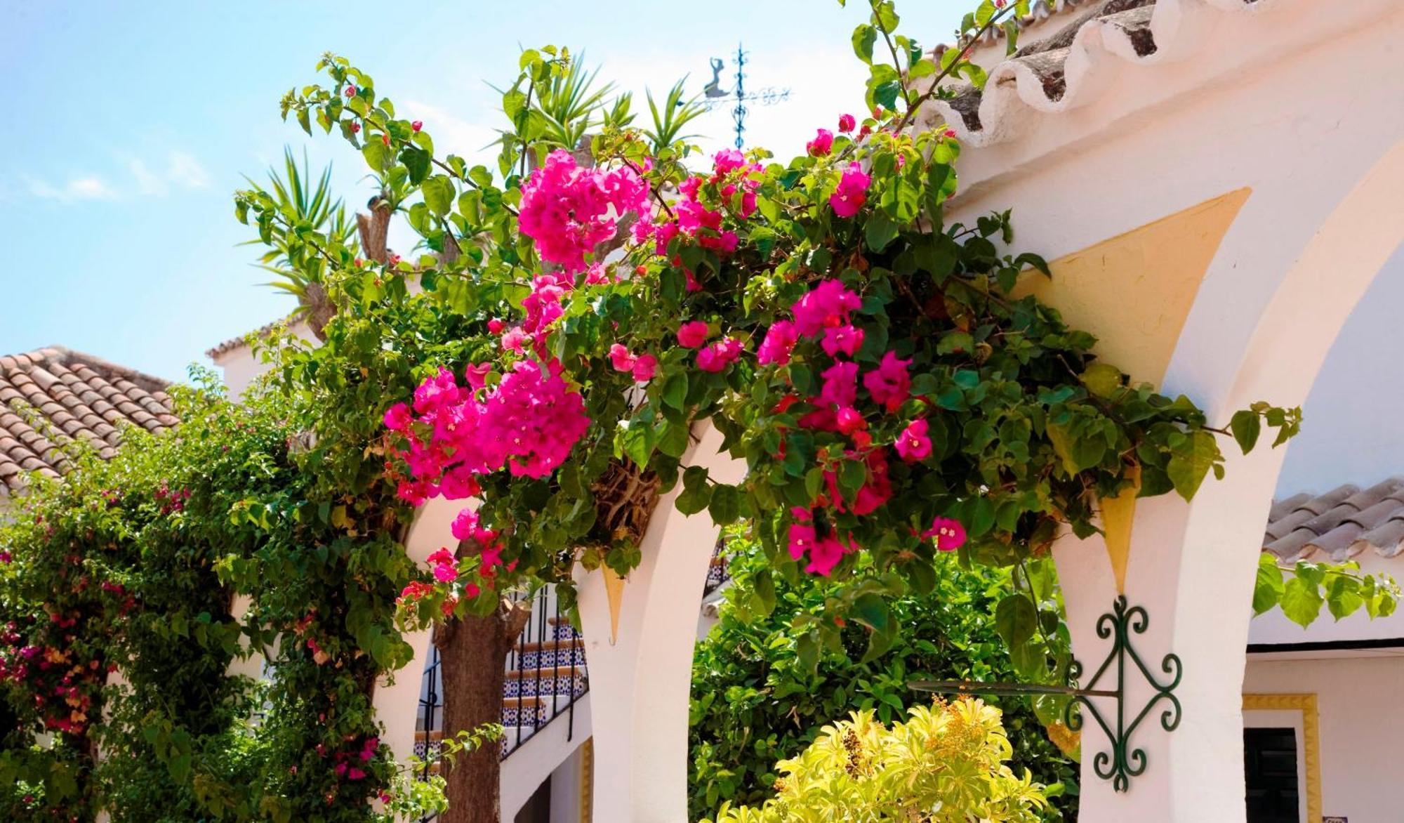 Globales Pueblo Andaluz Hotel San Pedro de Alcántara Eksteriør billede